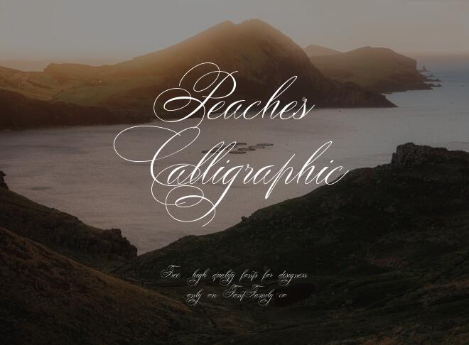 Peaches Calligraphic Font