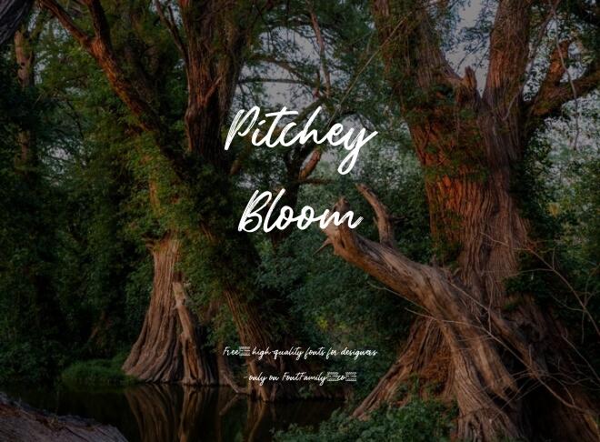 Pitchey Bloom Font
