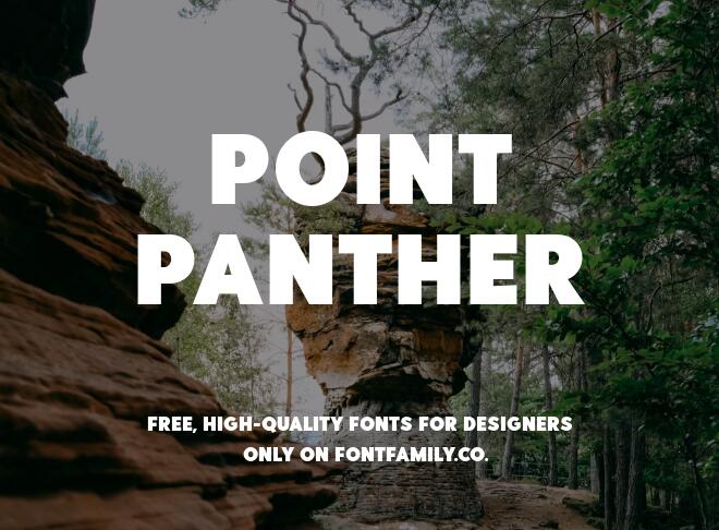 Point Panther Font