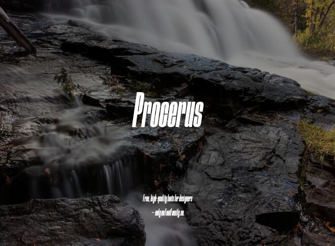Procerus Font