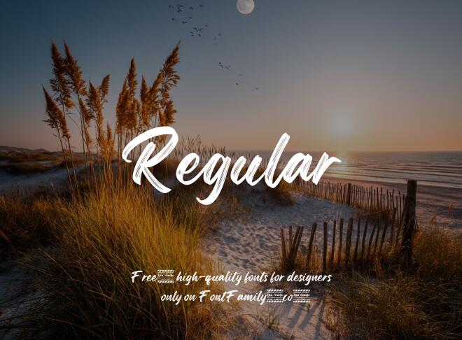 Regular Font