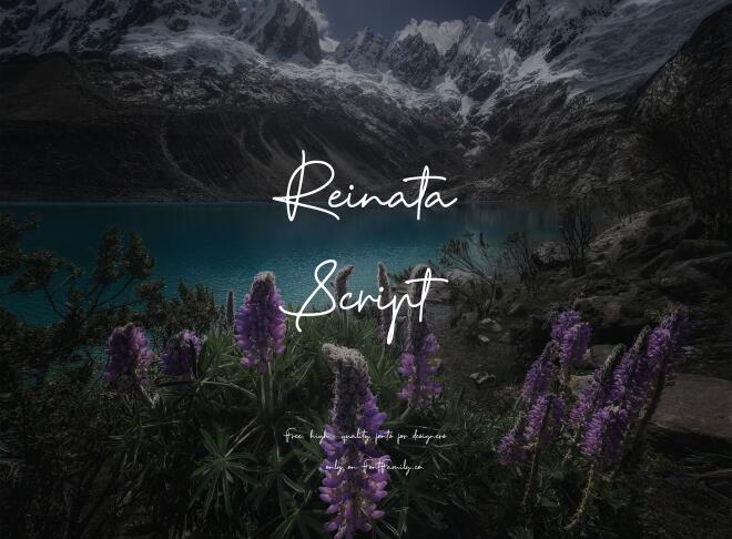 Reinata Script Font