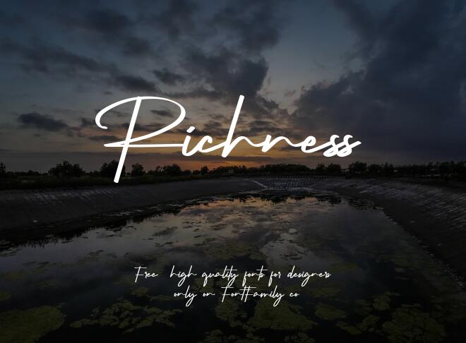 Richness Font