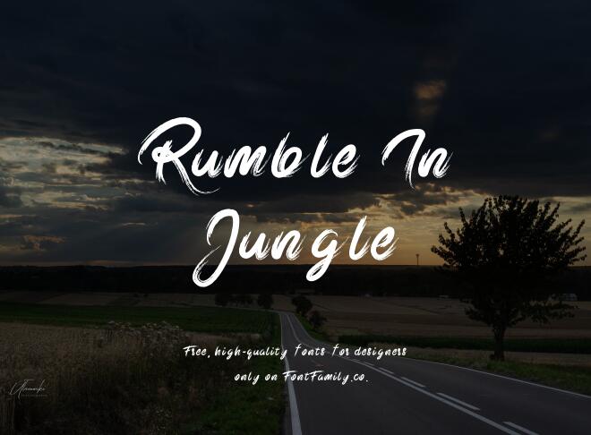 Rumble In Jungle Font