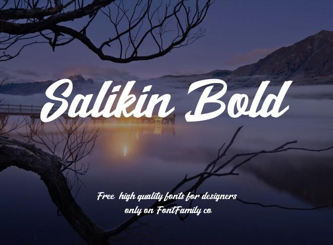 Salikin Bold Font