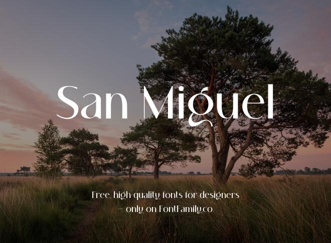 San Miguel Font