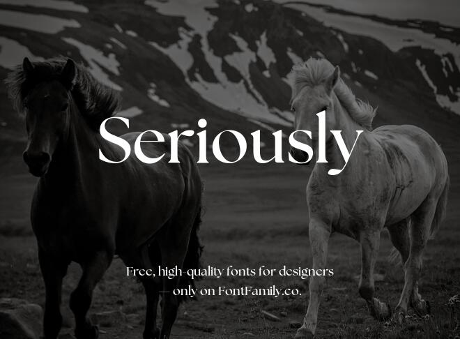 Seriously Font