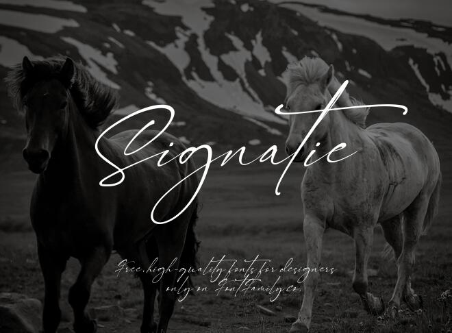 Signatie Font