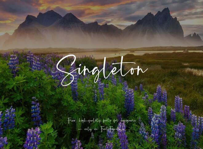 Singleton Font