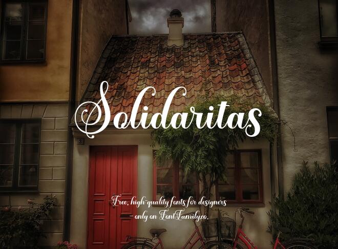 Solidaritas Font
