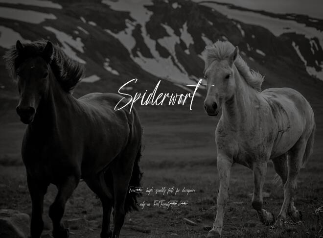Spiderwort Font