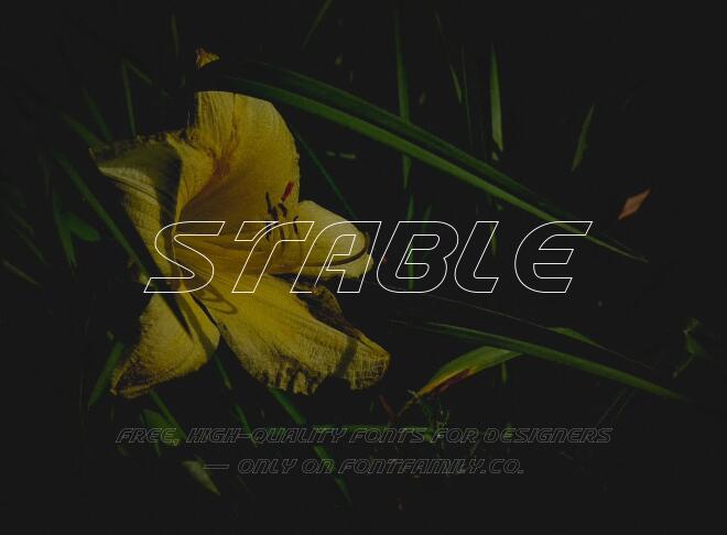 Stable Font