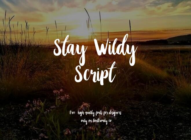 Stay Wildy Script Font
