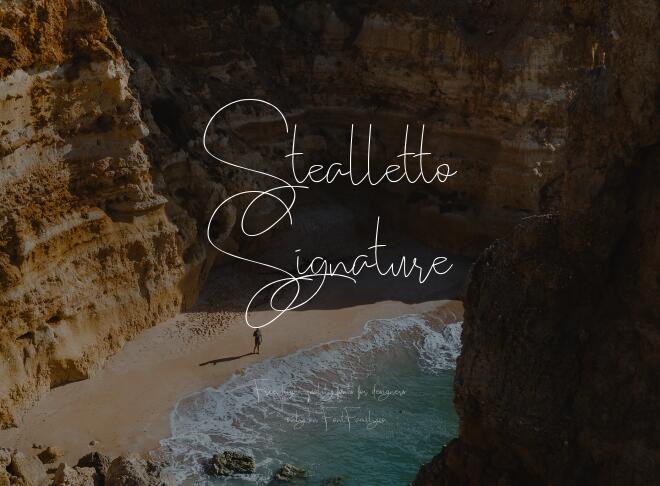 Stealletto Signature Font
