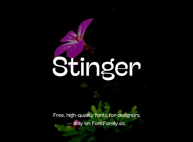 Stinger Font