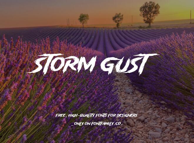 Storm Gust Font