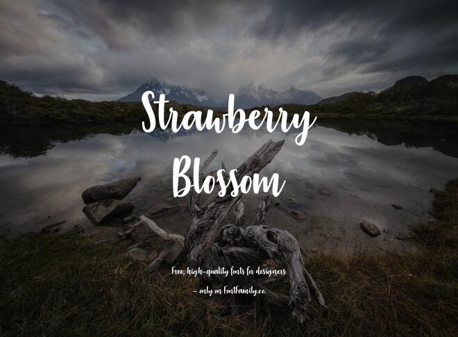 Strawberry Blossom Font