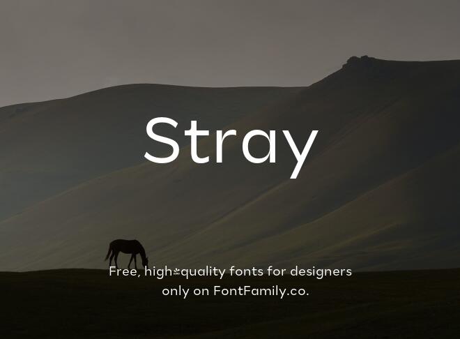 Stray Font