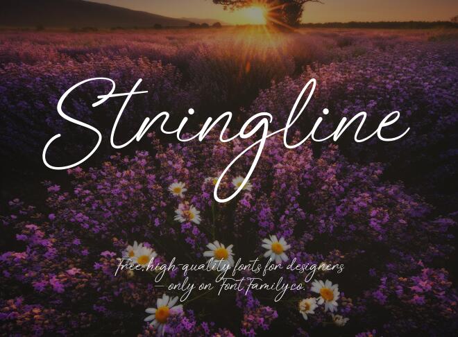 Stringline Font