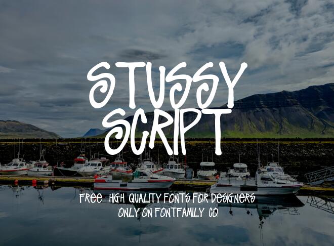 Stussy Script Font