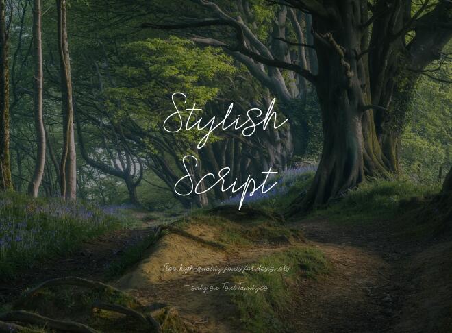 Stylish Script Font