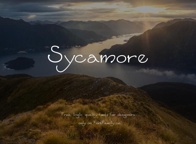 Sycamore Font
