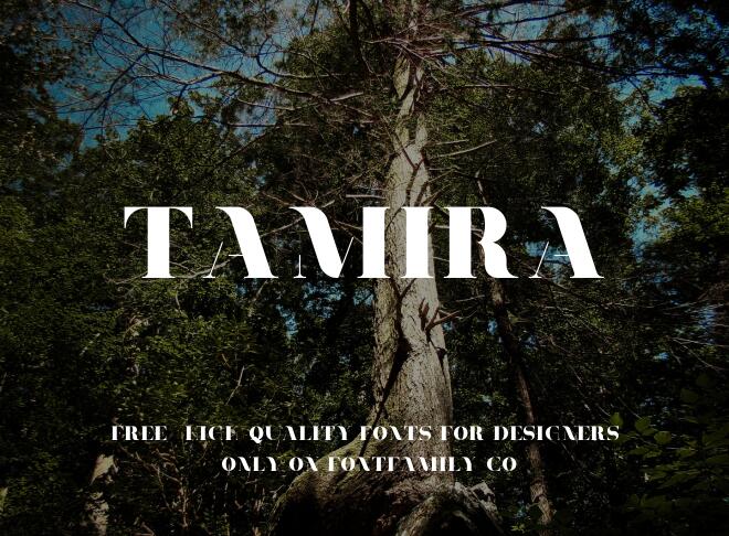 Tamira Font