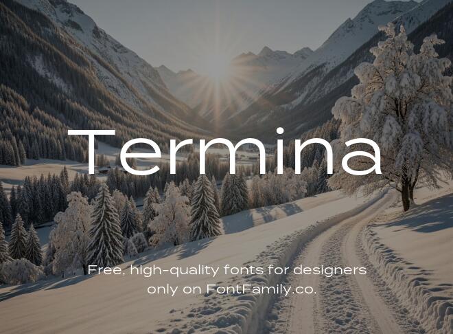 Termina Font