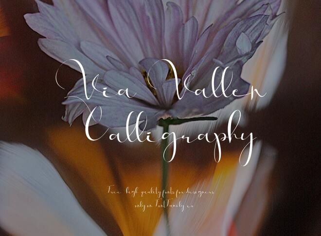 Via Vallen Calligraphy Font