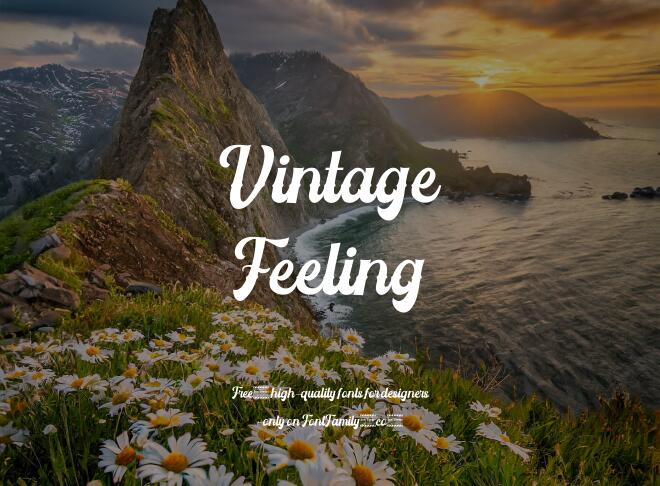 Vintage Feeling Font