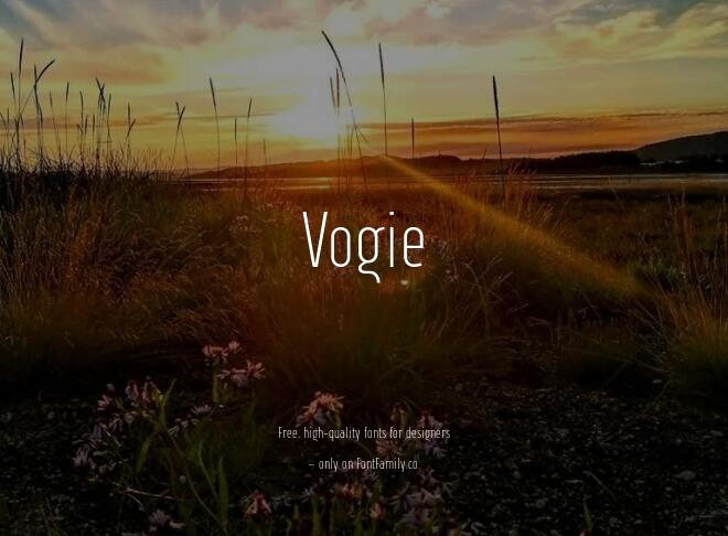 Vogie Font