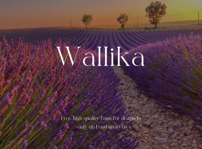 Wallika Font