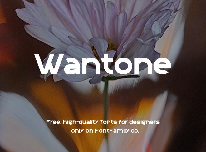 Wantone Font