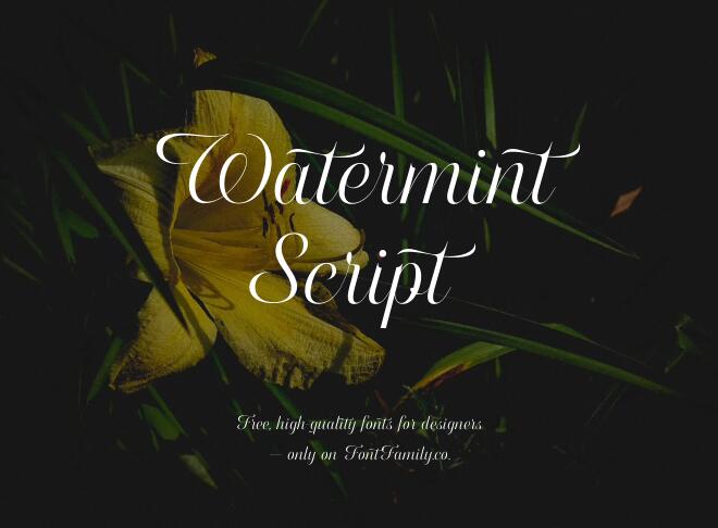 Watermint Script Font