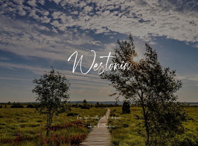 Westonia Font