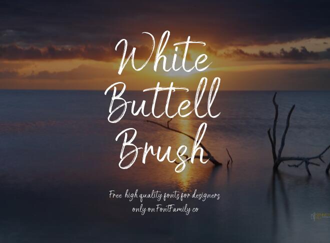 White Buttell Brush Font