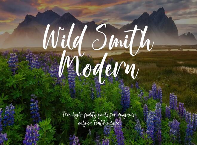 Wild Smith Modern Font