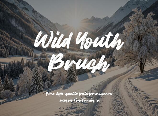 Wild Youth Brush Font