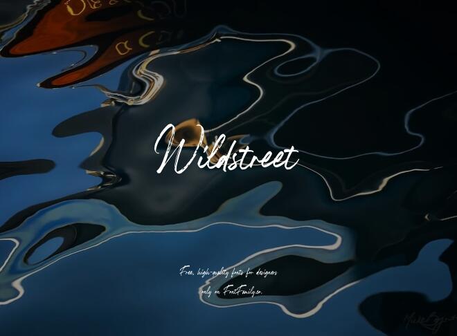 Wildstreet Font
