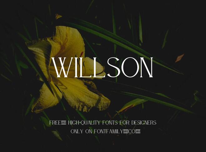 Willson Font