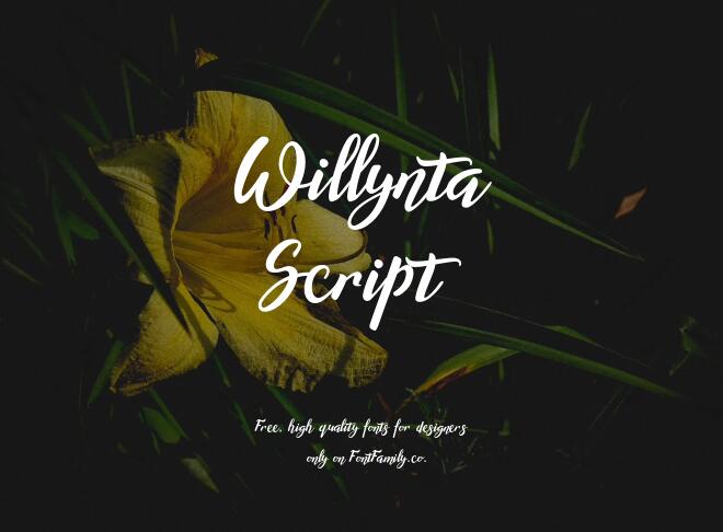 Willynta Script Font