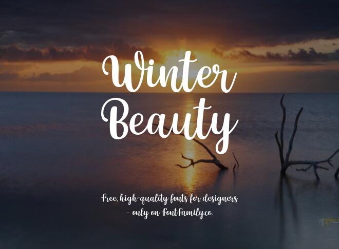 Winter Beauty Font