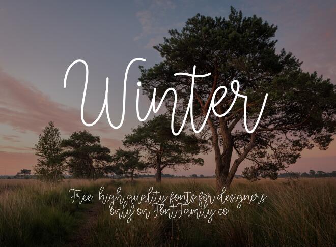 Winter Font