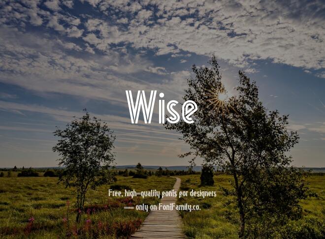 Wise Font