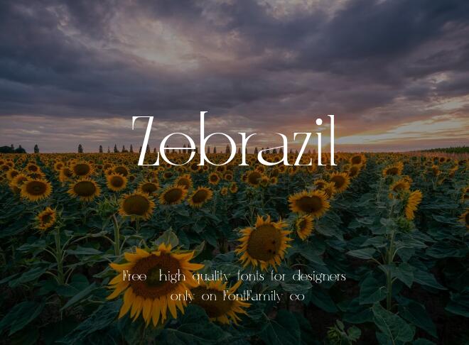 Zebrazil Font